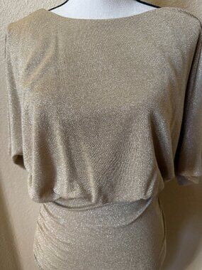 Sangria Brand Gold and Silver Dress
